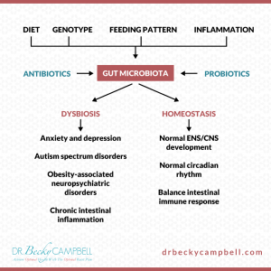 Gut Microbiota