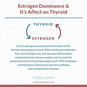 thyroid-estrogen