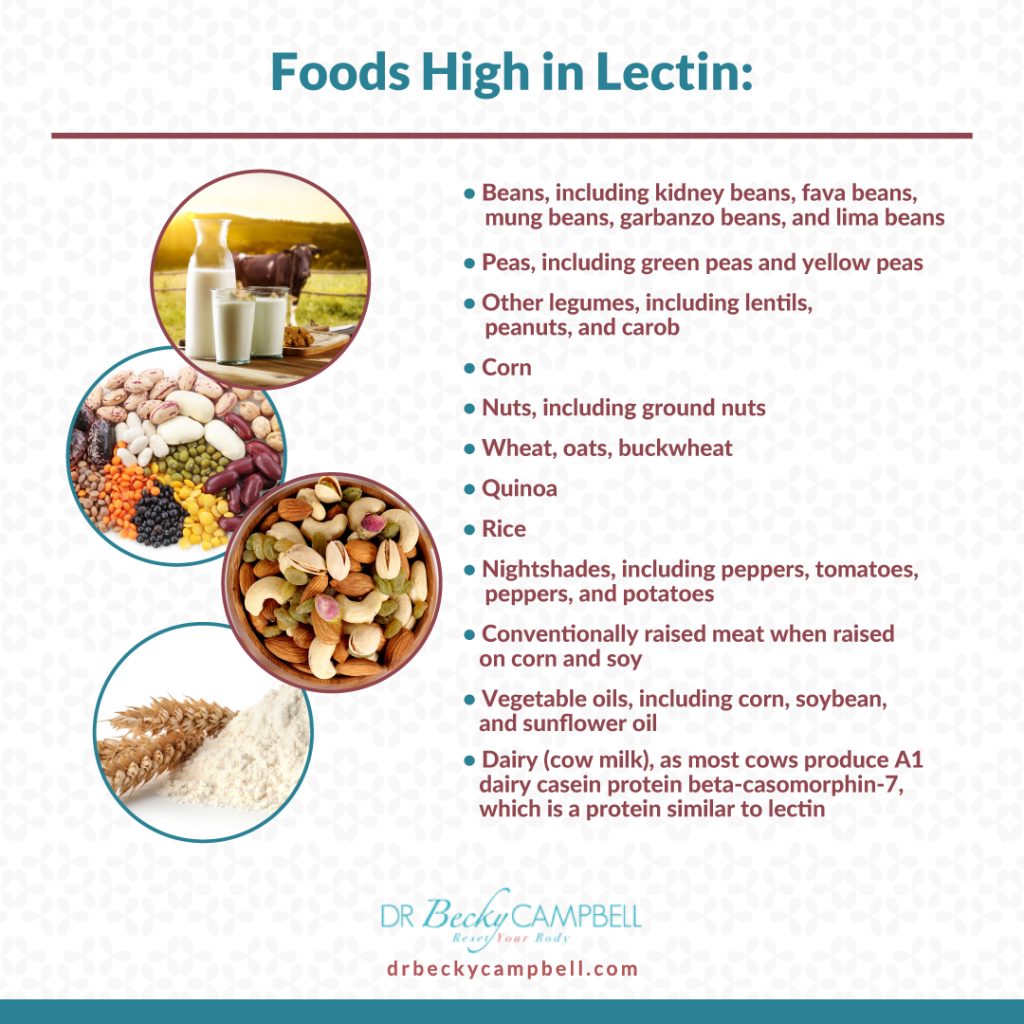 high-lectin foods