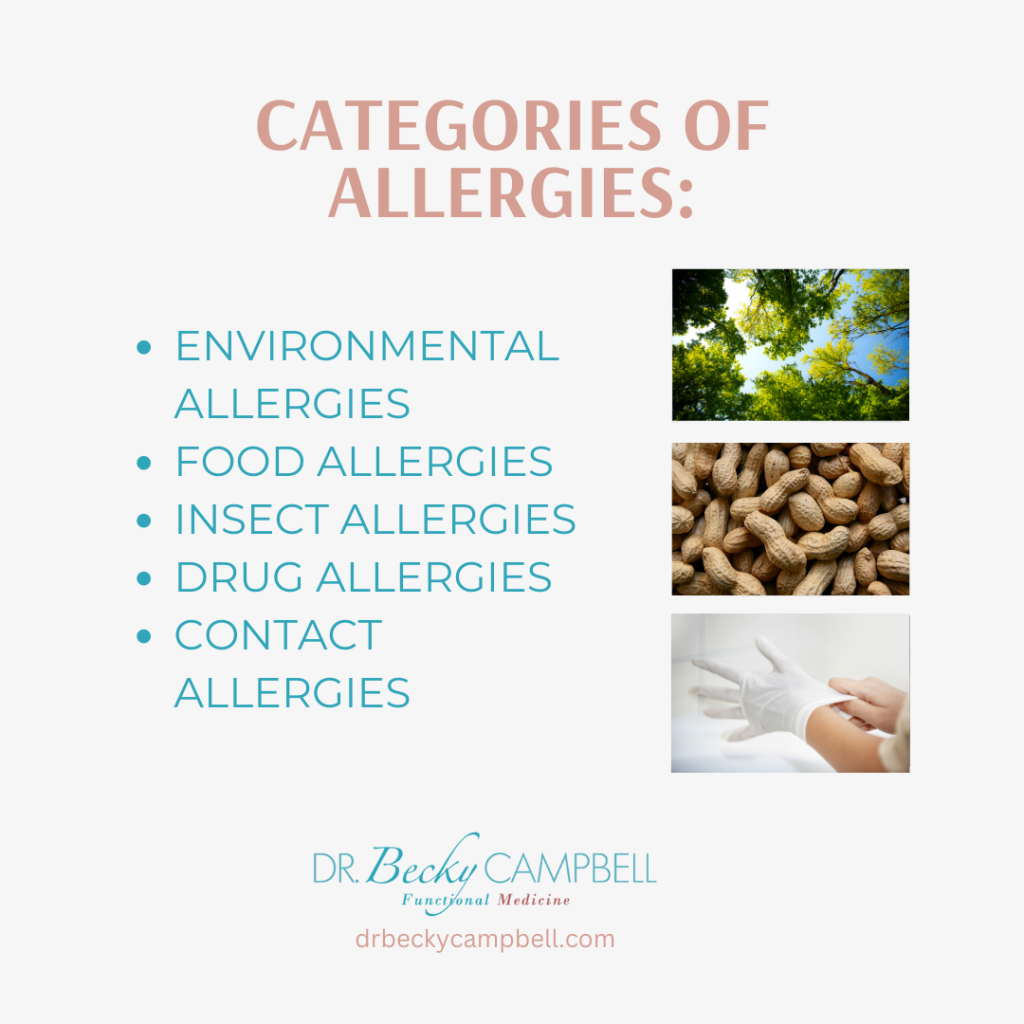 allergy categories