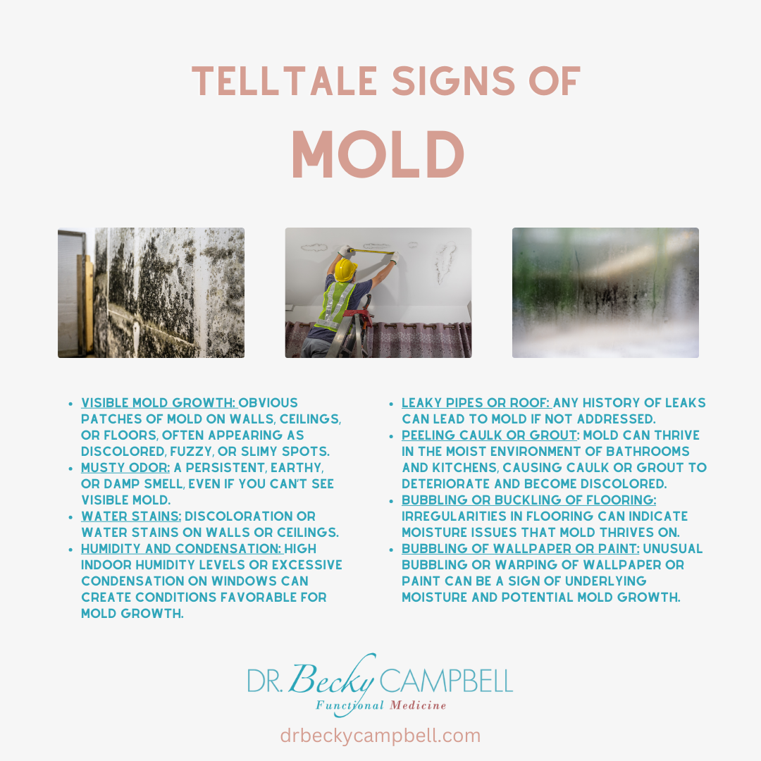 telltale signs of mold