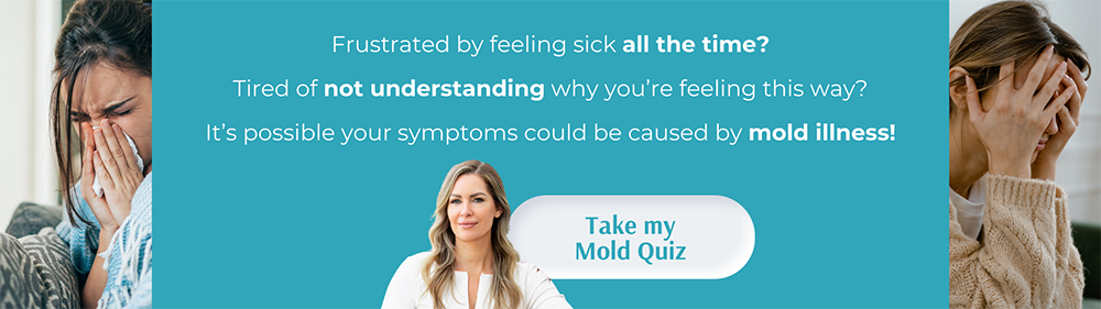 Take the Mold Quiz