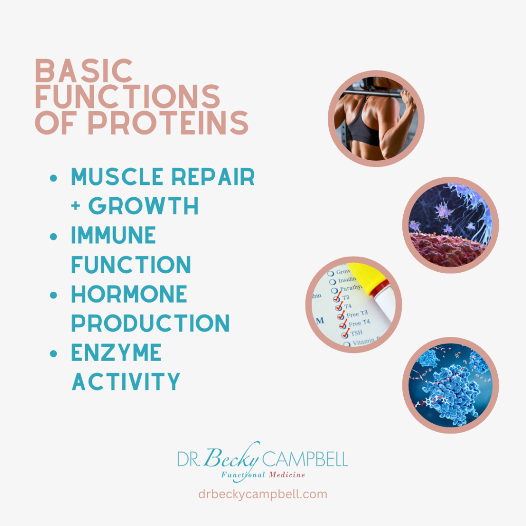 protein function