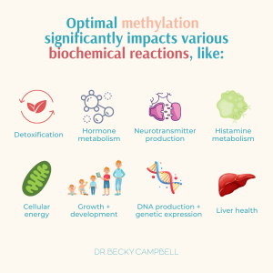 methylation