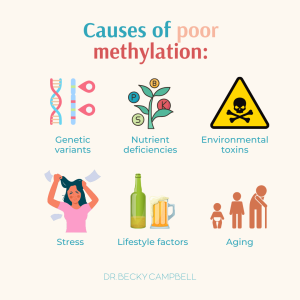 cause of methylation