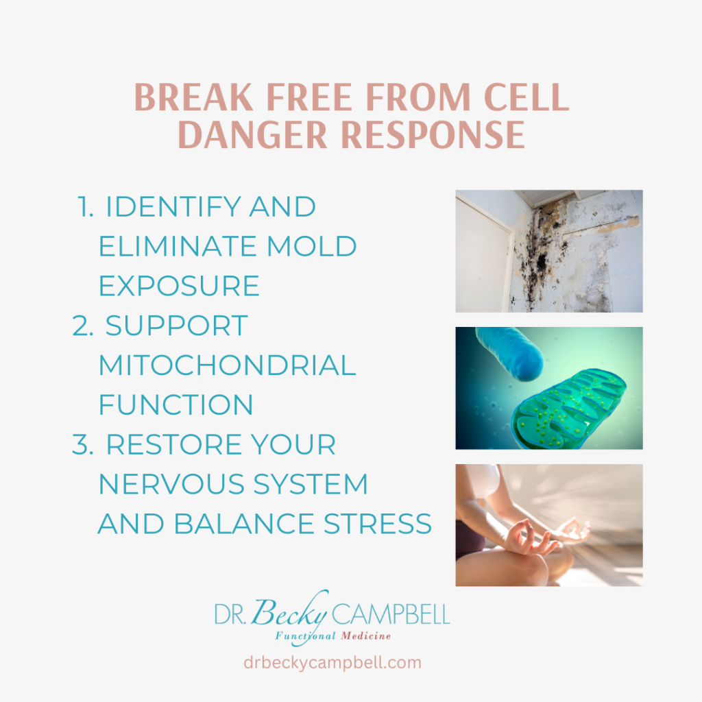 Cell Danger Response